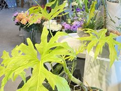 -至艾推拿院·三伏灸(昆城广场店)
