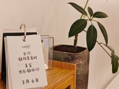 -团子君寿司·茶