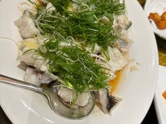 清蒸大龙趸-好彩海鲜火锅饭店(银河百老汇店)