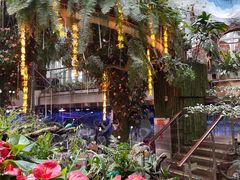 -正佳雨林生态植物园