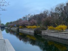 -海棠花溪(元大都城垣遗址公园)