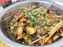 -食神又名厕所兔