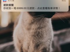 -Apple零售店(深圳益田假日广场店)