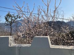 -妙峰山风景名胜区