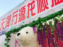 -万源龙顺度假庄园生态观光园