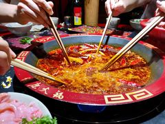 红锅-七里川健康火锅(总店)