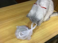 -兄弟鸡排.芋泥香酥鸭(淮海街店)