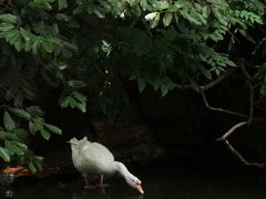 -兰亭风景区