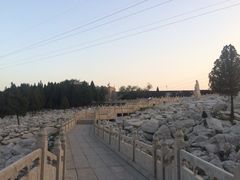 -原山国家森林公园