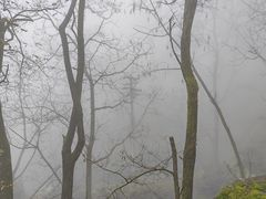 -秦岭终南山世界地质公园翠华山景区