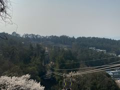 -窦圌山风景区
