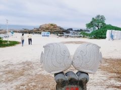 -三亚蜈支洲岛旅游区