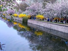 -元大都城垣遗址公园