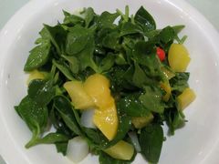 -清雅轩·清真菜·传统菜•融合菜(滑翔店)