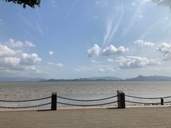 -深圳湾公园(南山区)