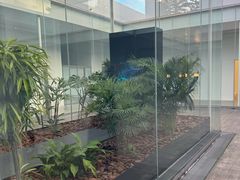 -金泽21世纪美术馆