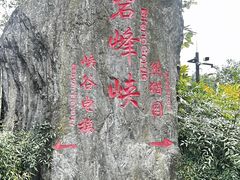 -碧峰峡风景区