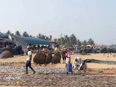 -尼甘布海鲜市场