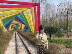 -合肥滨湖国家森林公园