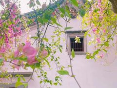 -莲花山公园