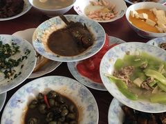 -南汇水蜜桃采摘(大团店)