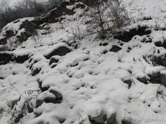 -太子岭滑雪场