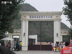 -紫海香堤香草艺术庄园