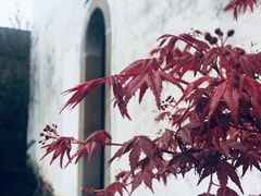 -黎阳老街