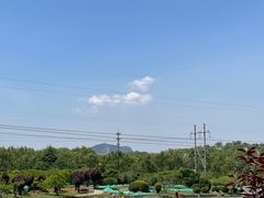 -石家庄市植物园