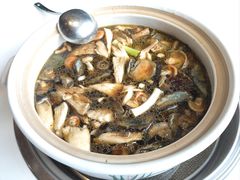 -爱膳菌锅锅(阳南店)