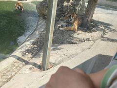 -栾川竹海野生动物园