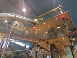 -卡通尼·Safari非洲探索乐园·生日会(金桥国际商业广场店)