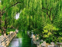 -百脉泉景区