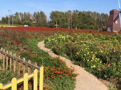 -北纬44度·金珠花海休闲农业旅游景区