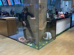 -藏猫猫咖啡主题馆(中央大道店)