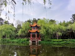 -日照海滨国家森林公园
