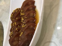 -海江5号