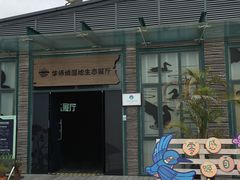 -华侨城湿地公园