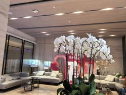 -恒美雅轩·品牌直营连锁