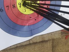 -道顺射箭·团建·骑射(张杨路店)