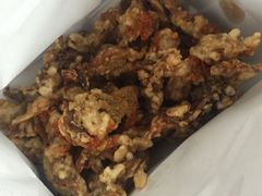 酥炸干香菇菇-童婆婆酥肉(双楠店)