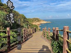 -广东惠东海龟国家级自然保护区
