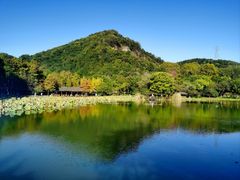 -八卦田遗址公园