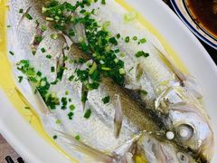 清蒸白水鱼-锡和无锡菜(景丽苑店)