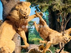 -国家自然博物馆