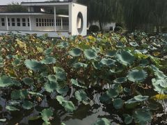 -费孝通江村纪念馆
