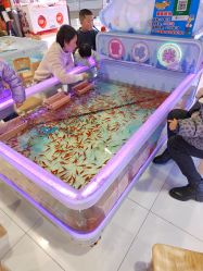 -哈尼鹿儿童乐园(长沙梅溪湖步步高店)