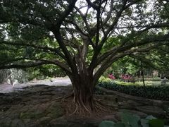 -晓港公园