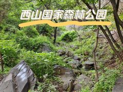 -北京西山国家森林公园