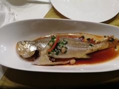小黄鱼-满满海佛跳墙(千禧店)